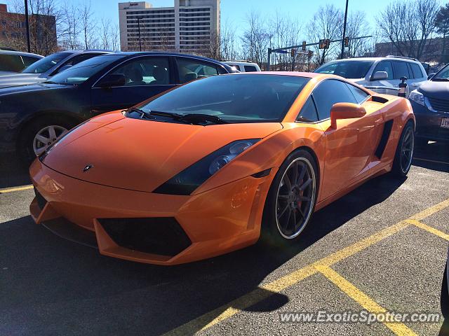 Lamborghini Gallardo spotted in Tyson's Corner, Virginia