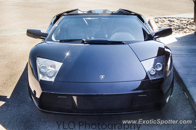 Lamborghini Murcielago spotted in Park Meadows, Colorado