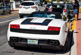 Lamborghini Gallardo