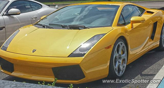 Lamborghini Gallardo spotted in San Juan, Puerto Rico