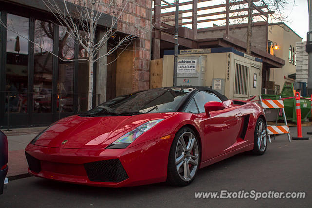 Lamborghini Gallardo spotted in Denver, Colorado