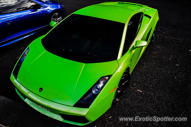 Lamborghini Gallardo spotted in Sydney, Australia