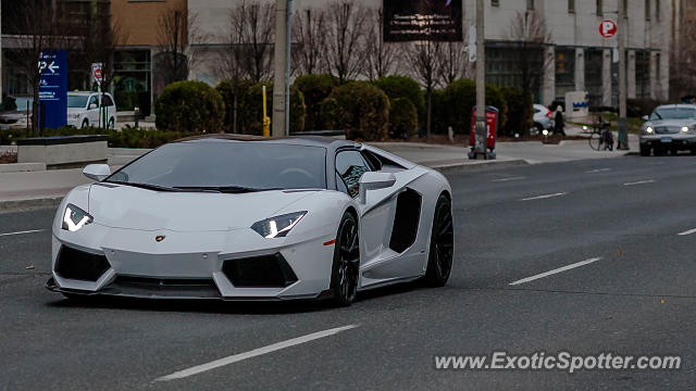 Lamborghini Aventador spotted in Toronto, Canada