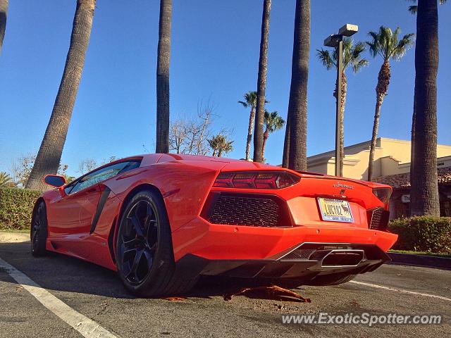 Lamborghini Aventador spotted in Malibu, California