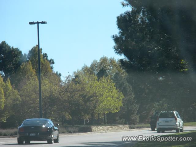 Bentley Continental spotted in Castle Pines, Colorado