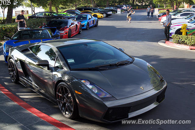 Lamborghini Gallardo spotted in Newport Beach, California