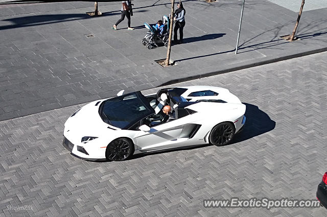 Lamborghini Aventador spotted in Toronto, Ontario, Canada