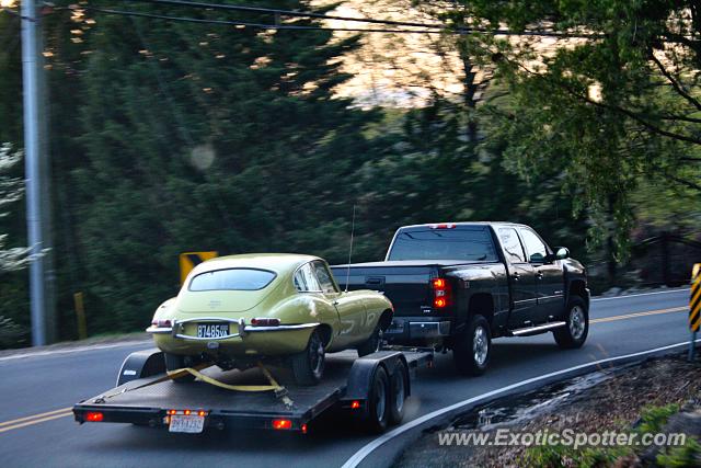 Jaguar E-Type spotted in Great Falls, Virginia