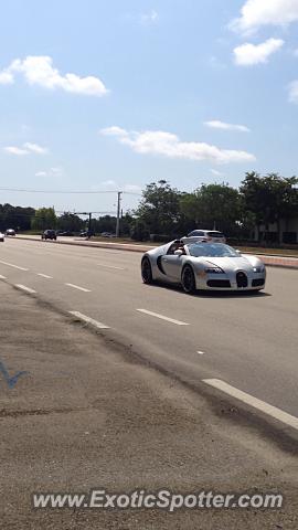 Bugatti Veyron spotted in Miami, Florida