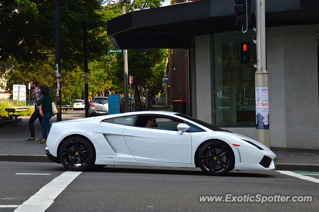 Lamborghini Gallardo spotted in Sydney, Australia