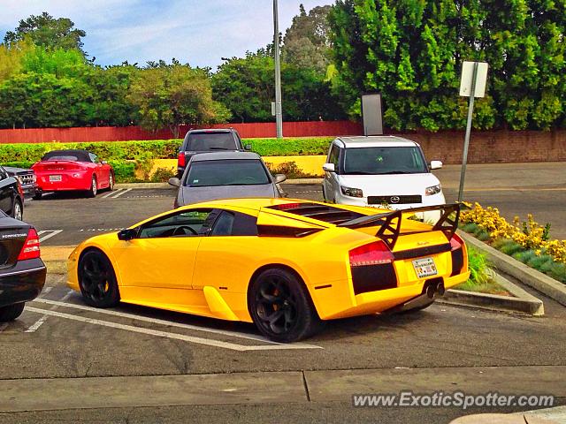 Lamborghini Murcielago spotted in Northridge, California