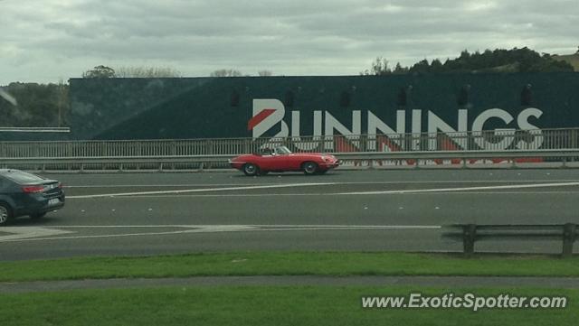 Jaguar E-Type spotted in Auckland, New Zealand