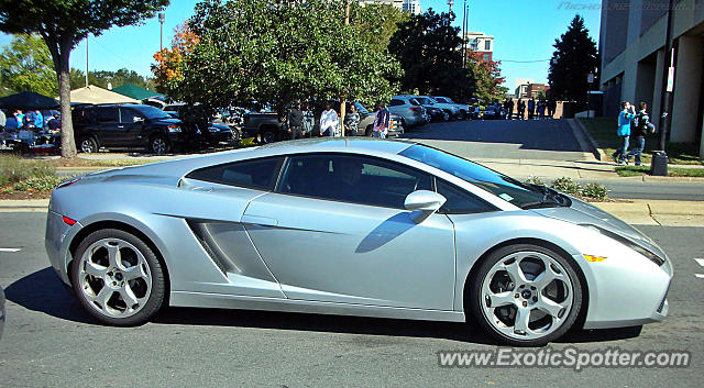 Lamborghini Gallardo spotted in Charlotte, North Carolina