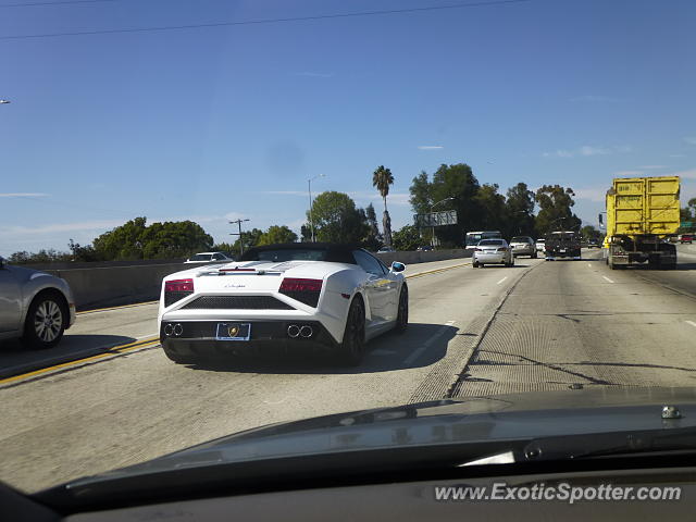 Lamborghini Gallardo spotted in Van Nuys, California