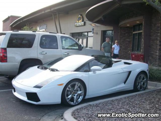 Lamborghini Gallardo spotted in Scottsdale, Arizona