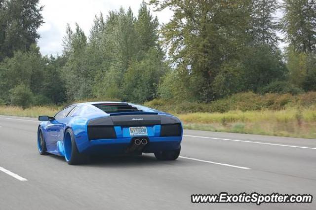 Lamborghini Murcielago spotted in Olympia, Washington