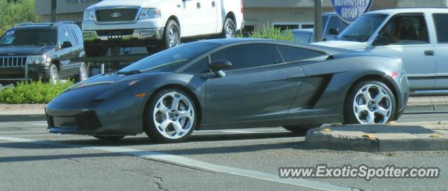 Lamborghini Gallardo spotted in Tucson, Arizona