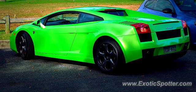 Lamborghini Gallardo spotted in Sydney, Australia