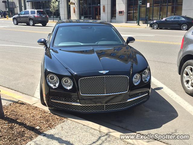 Bentley Continental spotted in Birmingham, Michigan