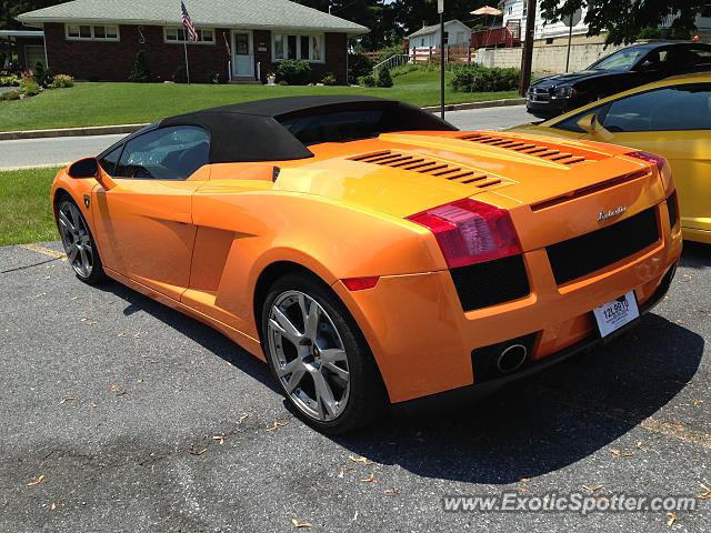 Lamborghini Gallardo spotted in Egypt, Pennsylvania