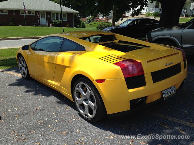 Lamborghini Gallardo spotted in Egypt, Pennsylvania