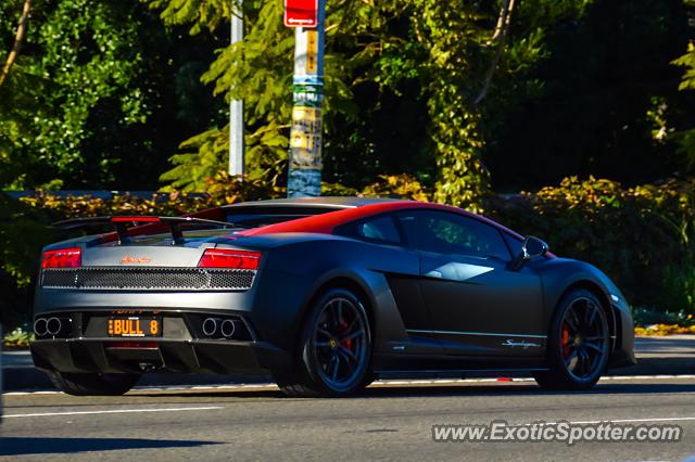 Lamborghini Gallardo spotted in Sydney, Australia