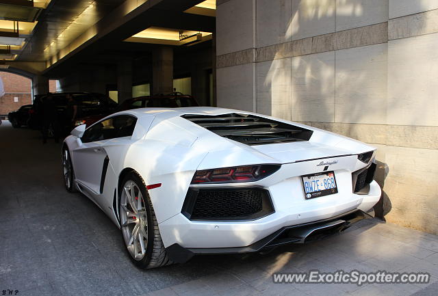 Lamborghini Aventador spotted in Toronto, Canada