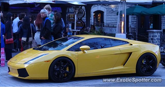 Lamborghini Gallardo spotted in Quebec, Canada