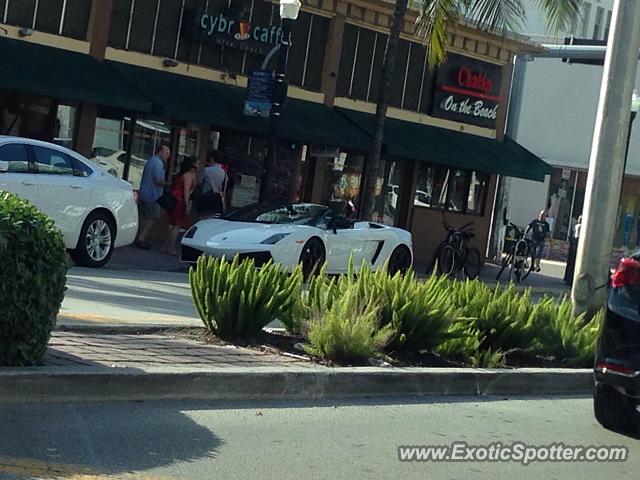 Lamborghini Gallardo spotted in Miami, Florida