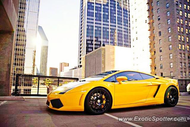 Lamborghini Gallardo spotted in Dubai, United Arab Emirates