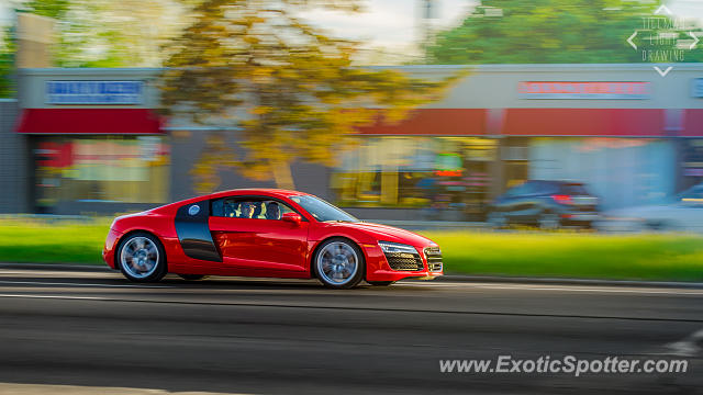 Audi R8 spotted in Birmingham, Michigan