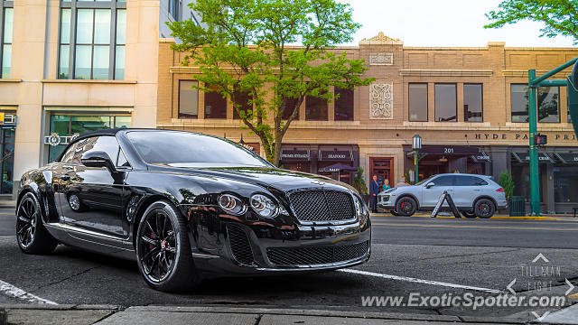 Bentley Continental spotted in Birmingham, Michigan