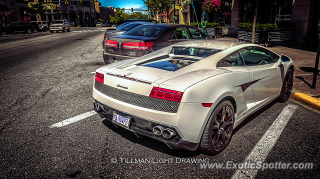 Lamborghini Gallardo spotted in Birmingham, Michigan