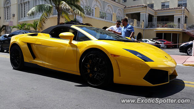 Lamborghini Gallardo spotted in Miami, Florida