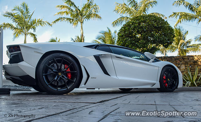 Lamborghini Aventador spotted in Miami, Florida