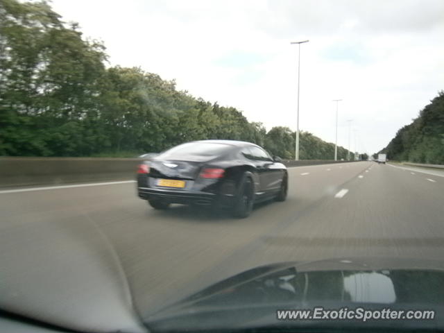 Bentley Continental spotted in Leuven, Belgium