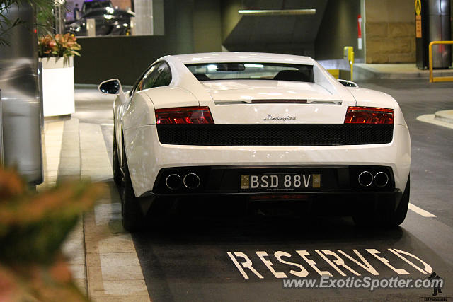 Lamborghini Gallardo spotted in Sydney, Australia