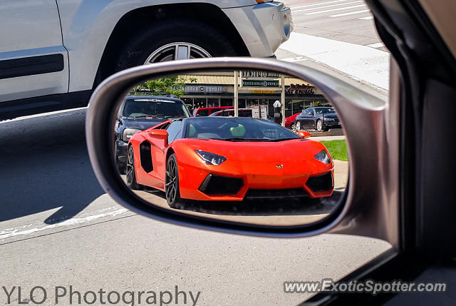 Lamborghini Aventador spotted in Denver, Colorado