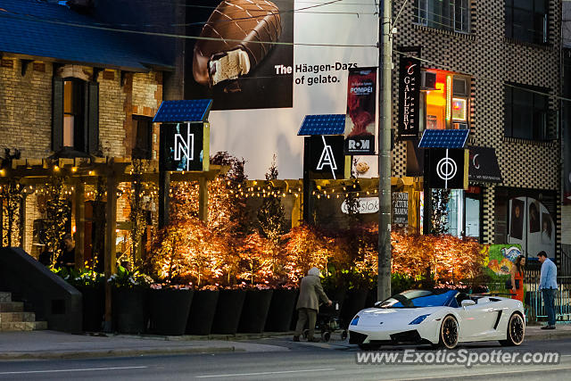 Lamborghini Gallardo spotted in Toronto, On, Canada