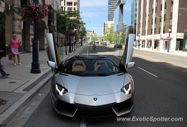 Lamborghini Aventador spotted in Toronto, Canada