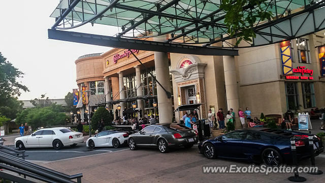 Lamborghini Gallardo spotted in Charlotte, North Carolina