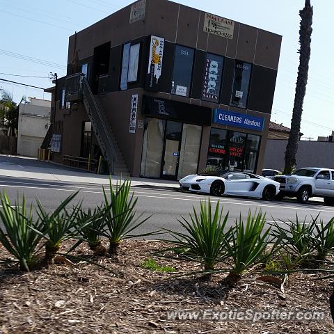 Lamborghini Aventador spotted in Long Beach, California