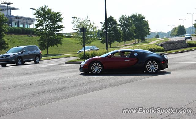 Bugatti Veyron spotted in Franklin, Tennessee