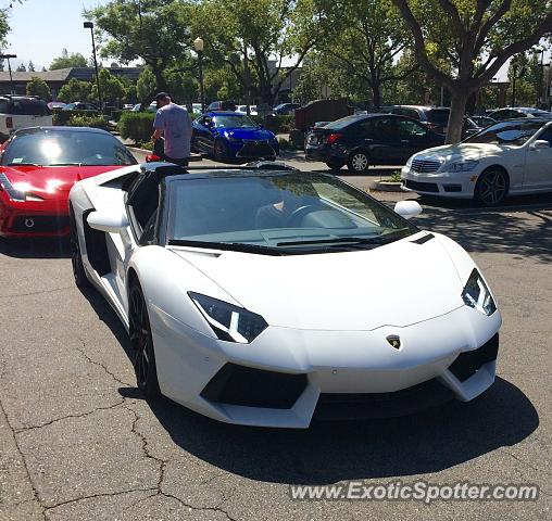 Lamborghini Aventador spotted in La canada, California