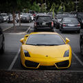 Lamborghini Gallardo