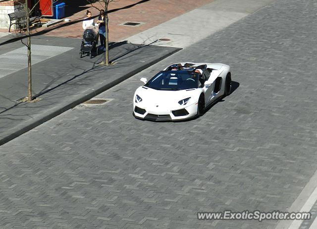 Lamborghini Aventador spotted in Toronto, Ontario, Canada