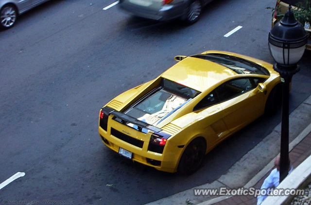 Lamborghini Gallardo spotted in Charlotte, North Carolina