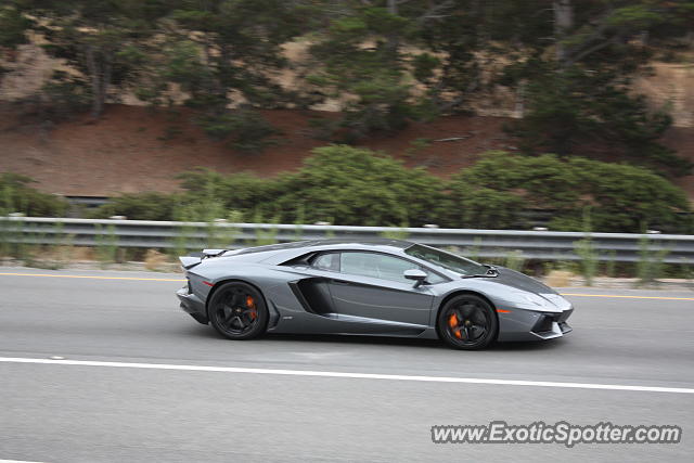 Lamborghini Aventador spotted in Monterey, California