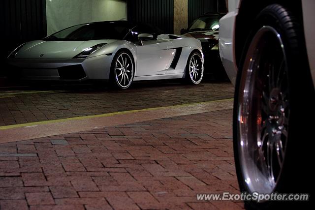 Lamborghini Gallardo spotted in Fort Lauderdale, Florida