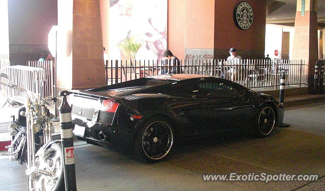 Lamborghini Gallardo spotted in Scottsdale, Arizona